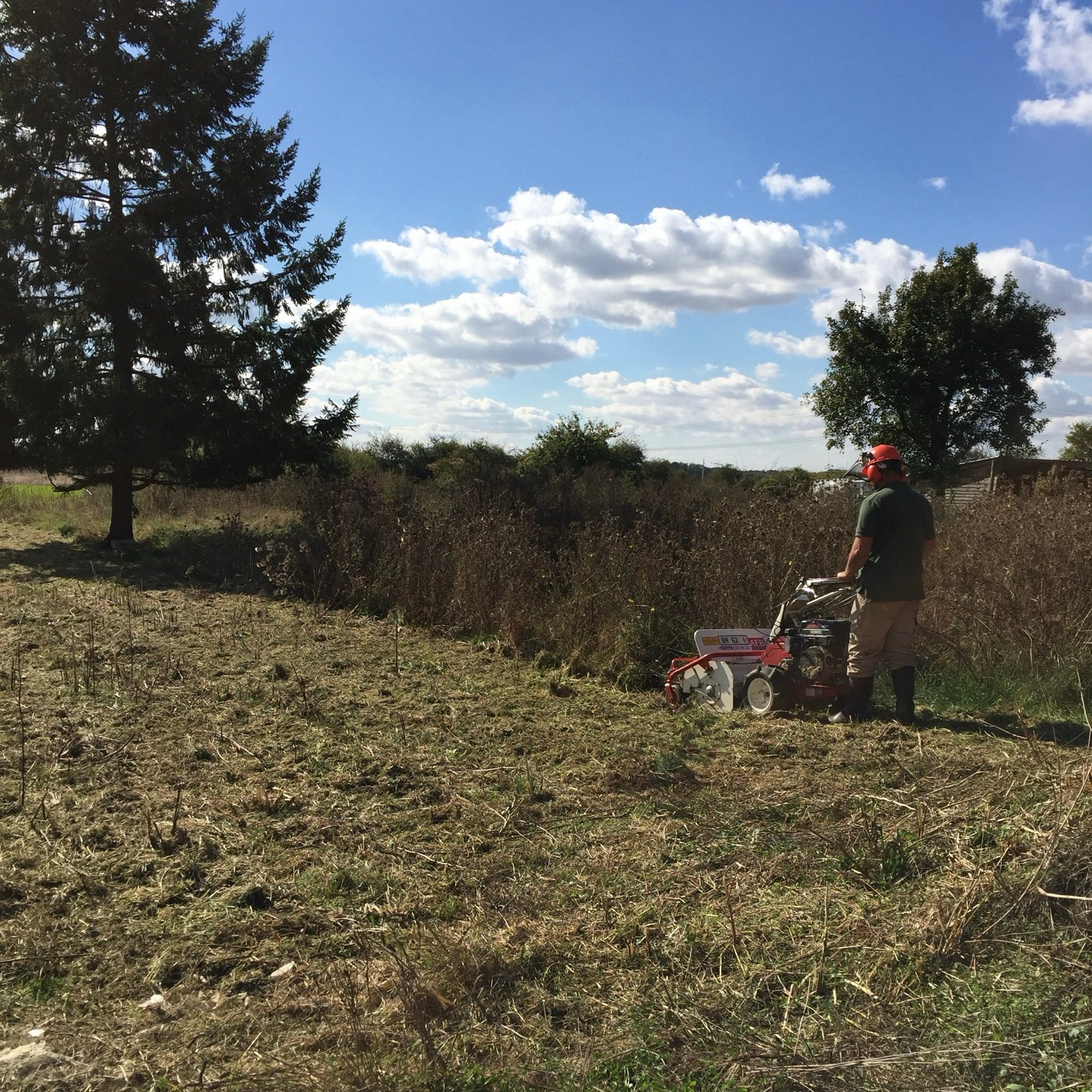 debroussaillage d'une terrain dans la saone et loire. autour de moi 71