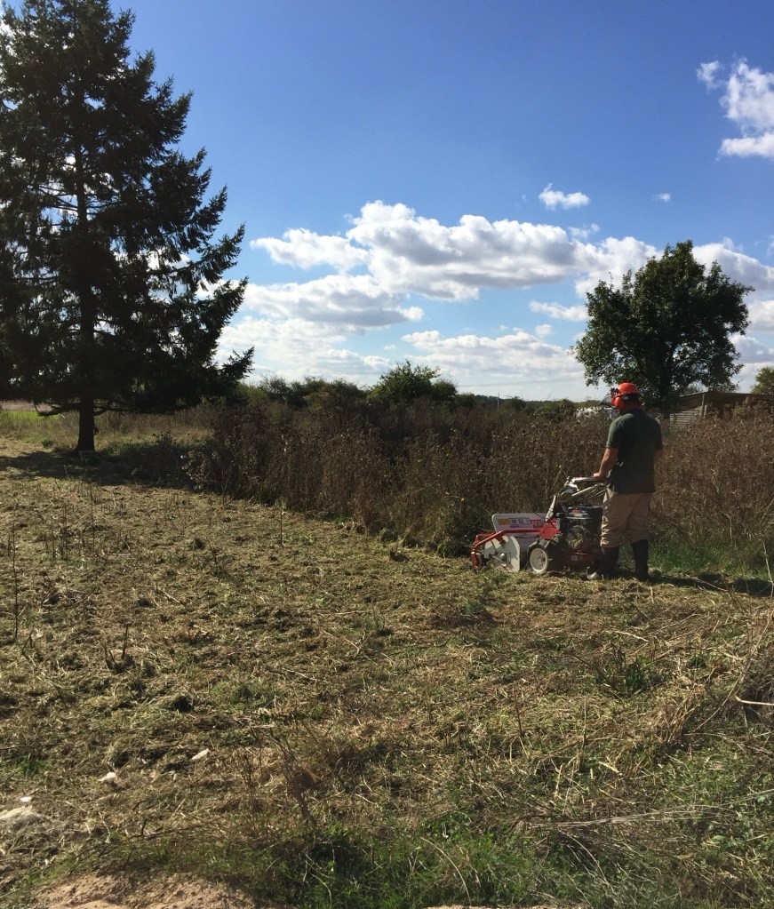 debroussaillage d'une terrain dans la saone et loire. autour de moi 71