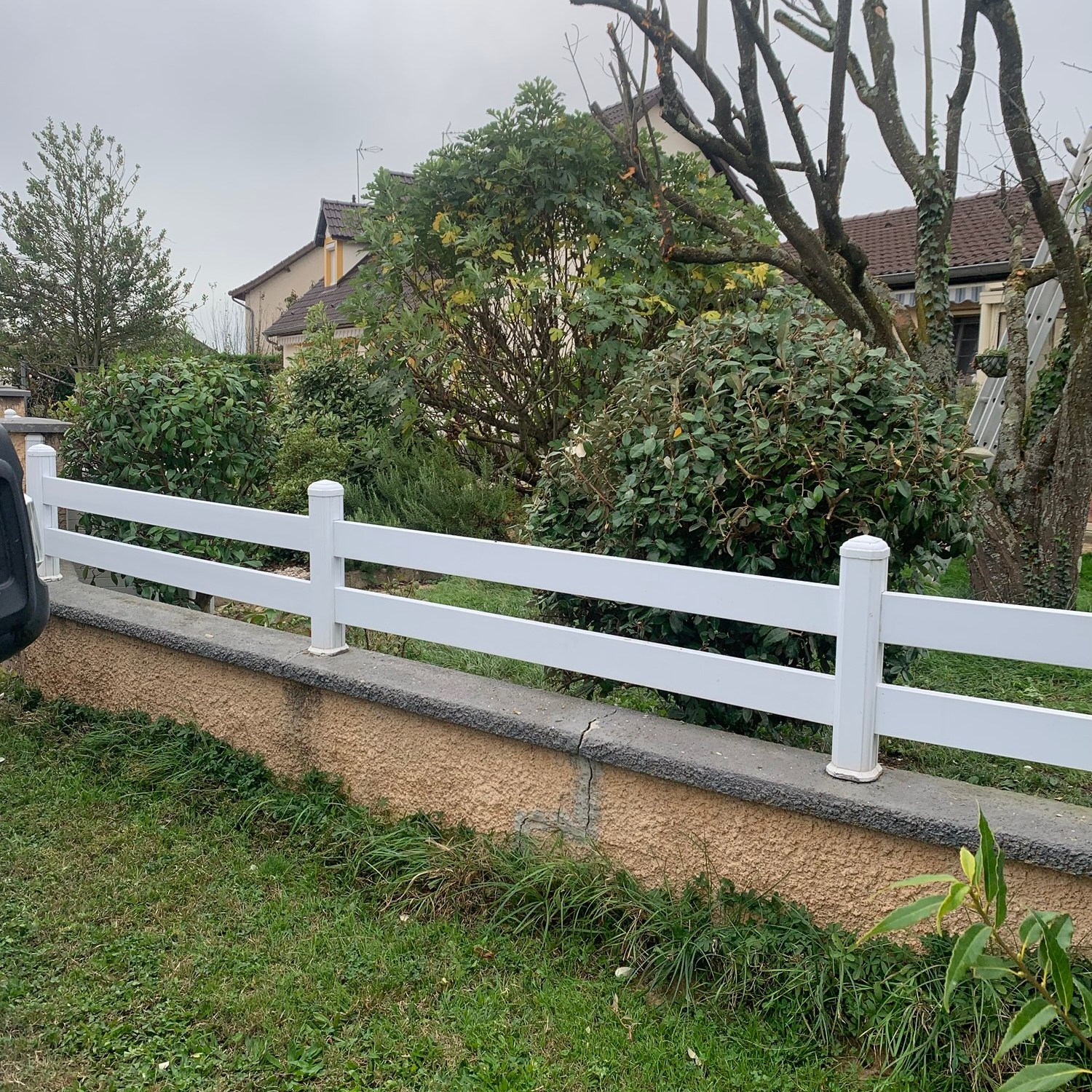 Arbustes et arbres elaguer taille d'entretien a paray le monial 71 saone et loire