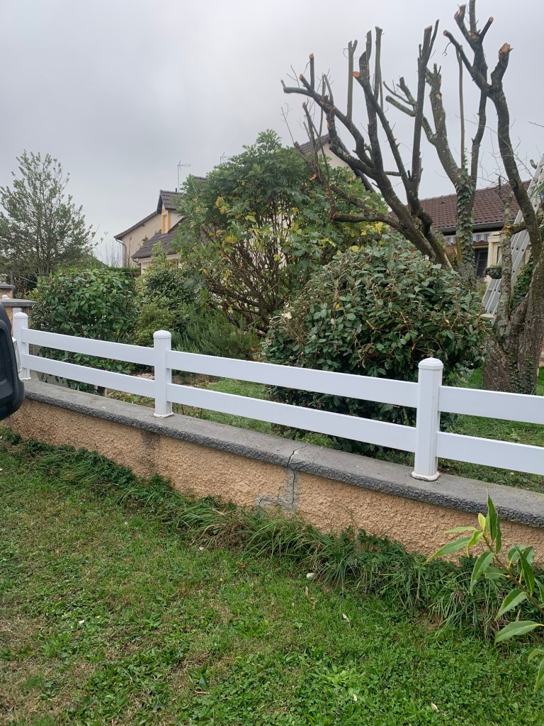 Arbustes et arbres elaguer taille d'entretien a paray le monial 71 saone et loire
