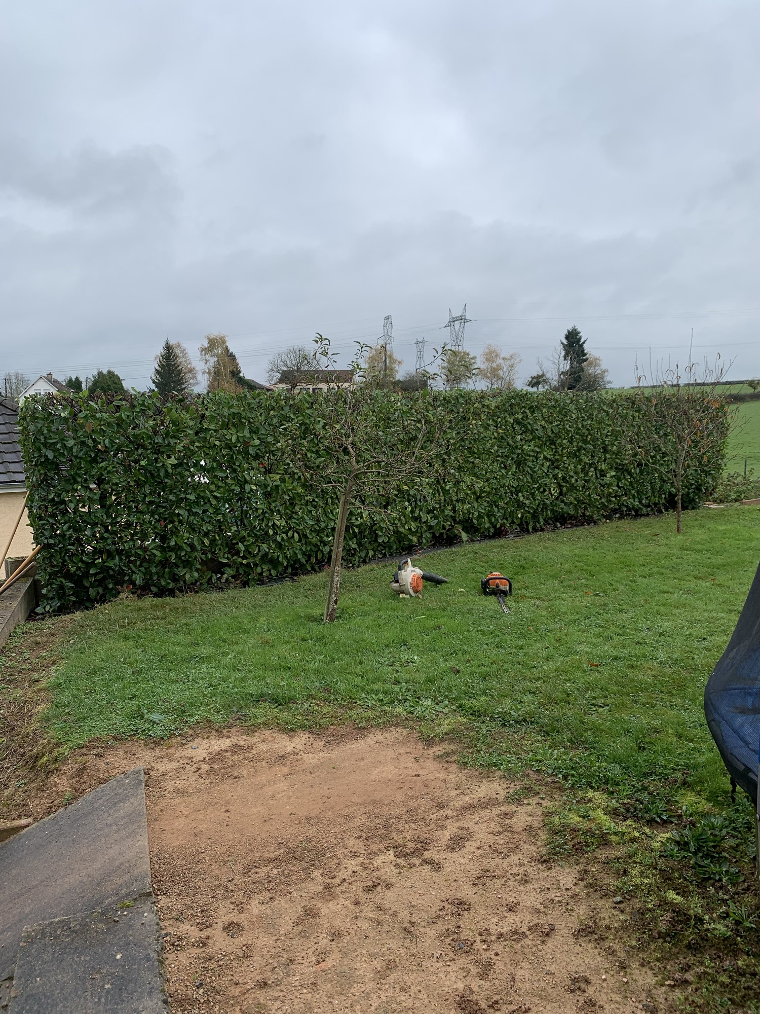 taille d'une haie de photinia a Gueugnon dans la saone et loire entretien jardins 71