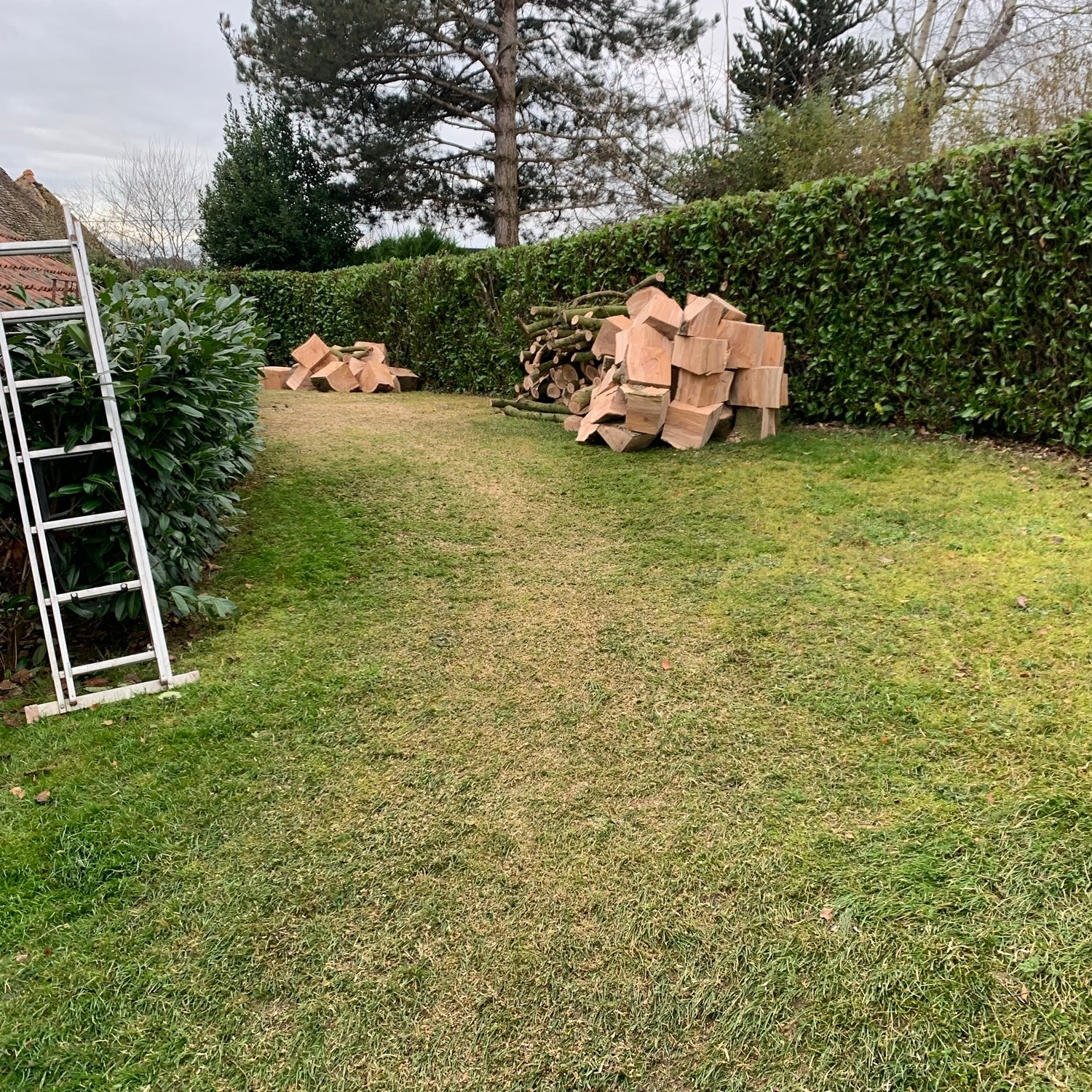 Arbre débitée en tronçons et mis en tas, après l’intervention de l’entreprise Gaudelet Cliff Elagueur Paysagiste. Pré de Digoin dans la Saône et Loire
