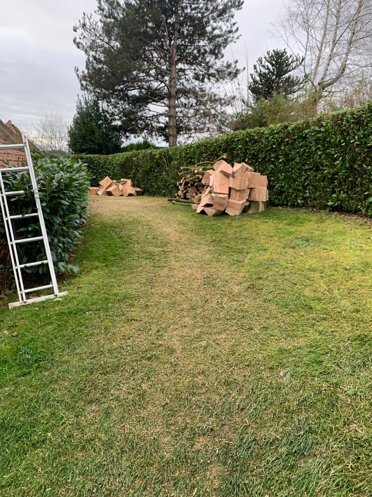 Arbre débitée en tronçons et mis en tas, après l’intervention de l’entreprise Gaudelet Cliff Elagueur Paysagiste. Pré de Digoin dans la Saône et Loire