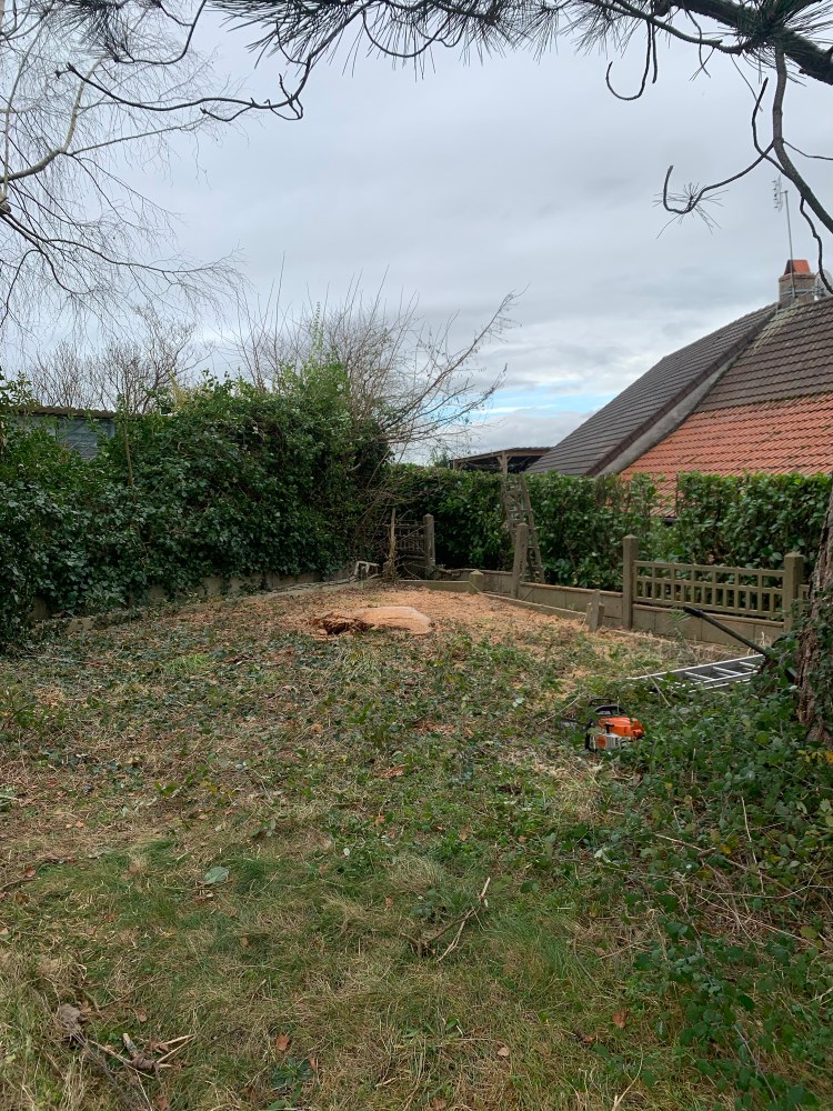 terrain nettoyer aprés debitage de l'arbre. cloture cassé a cause de l'arbre tombé dessus. a coté de Digoin 71160 en Saône et Loire