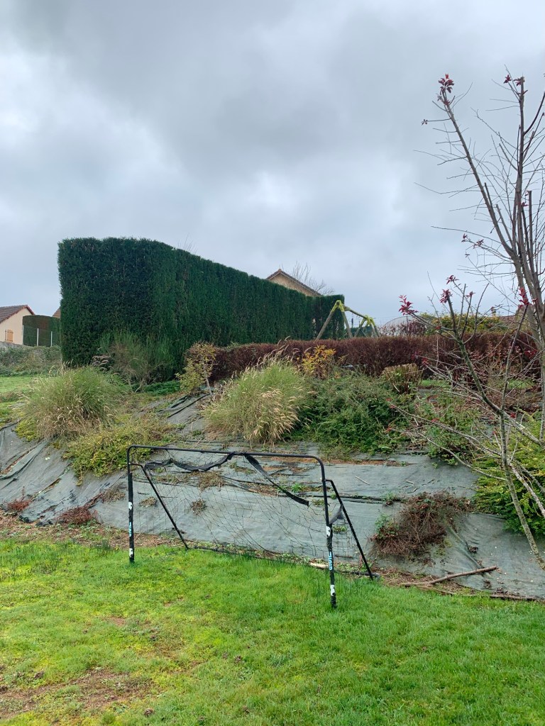 Taille d’une haie de thuyas remise en forme des arbustes en Saône et Loire 71