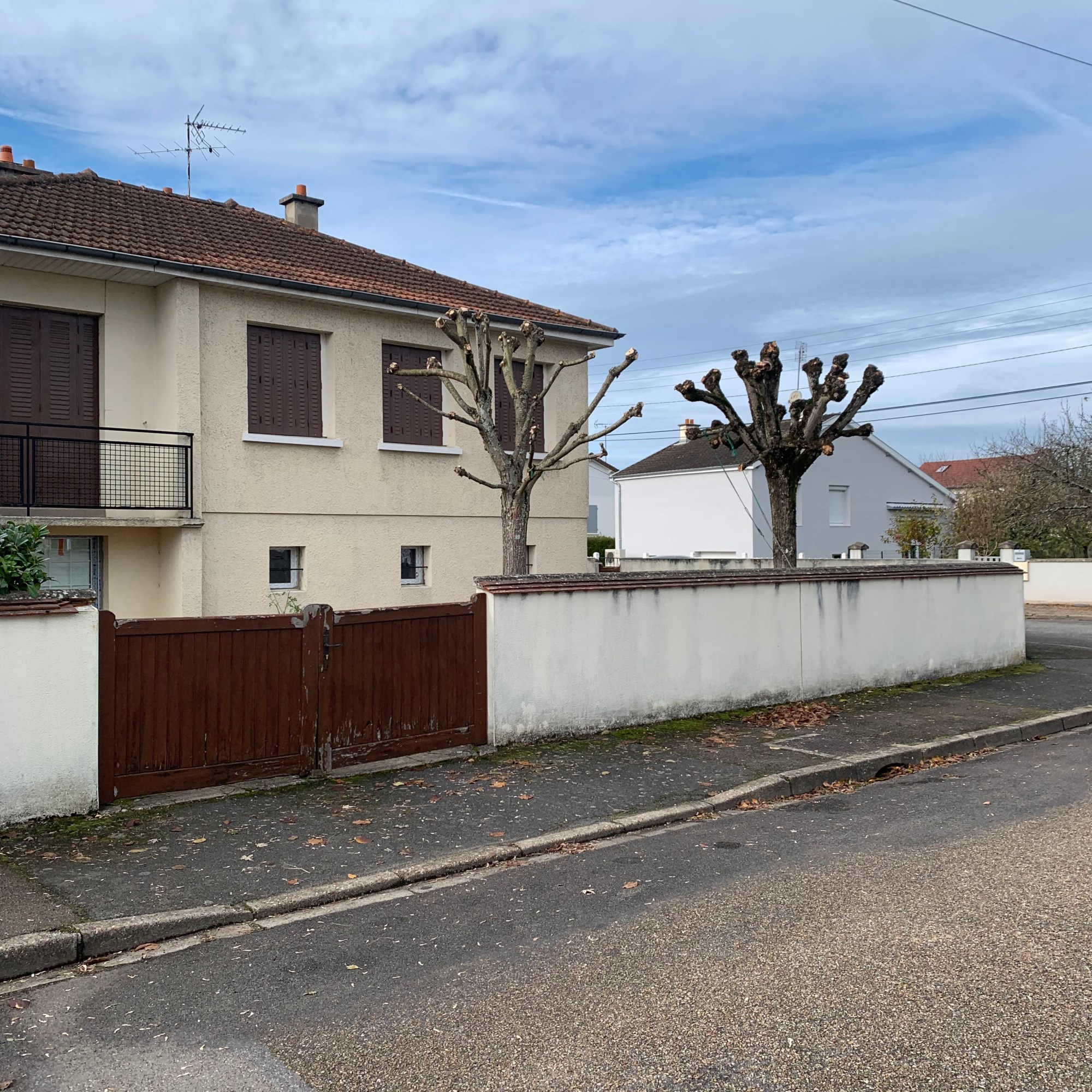 Taille en tête de chat d'un érable et un tilleul a Digoin 71160.