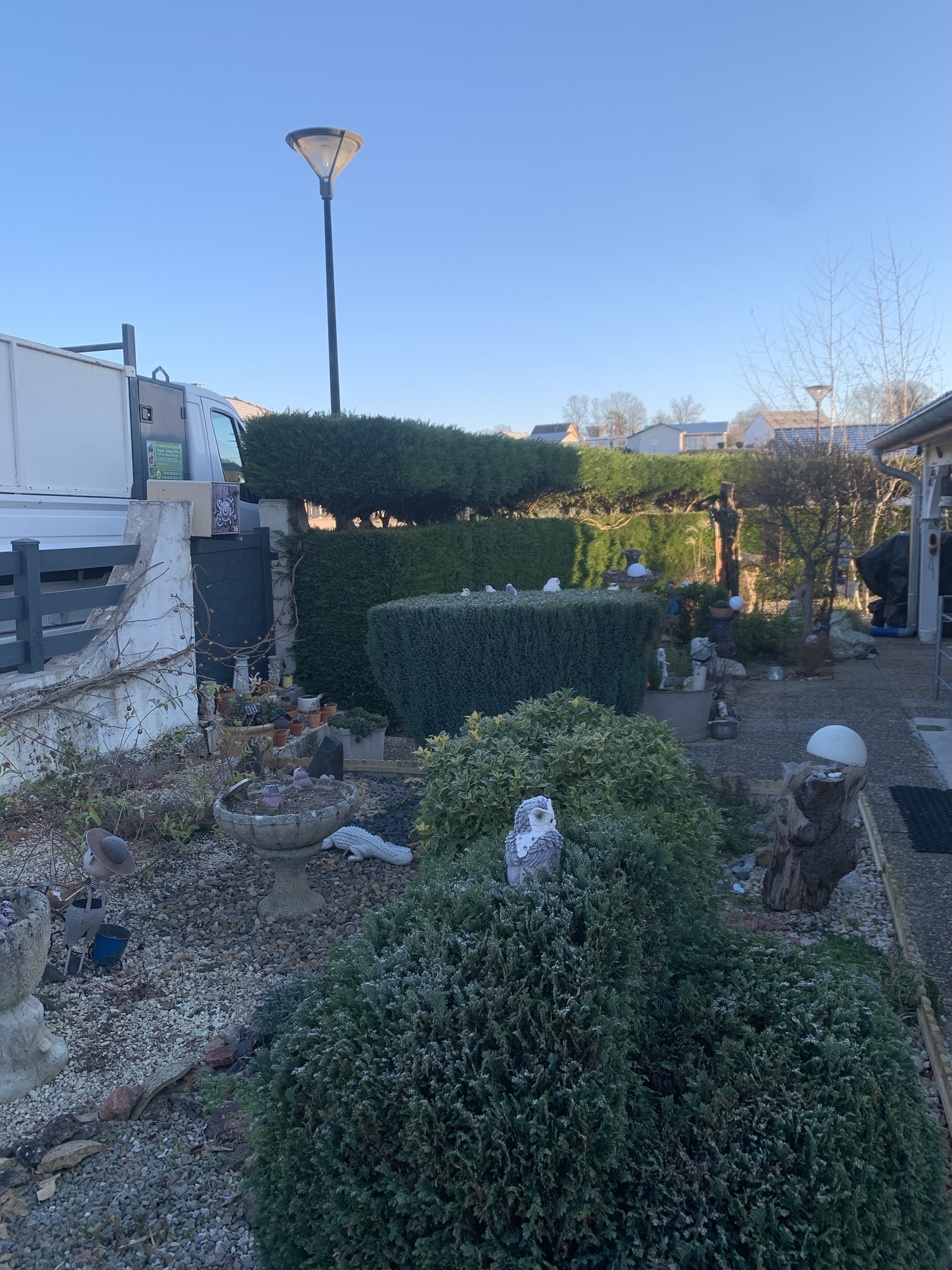 rabattage d'une haie de thuyas a paray le monial 71