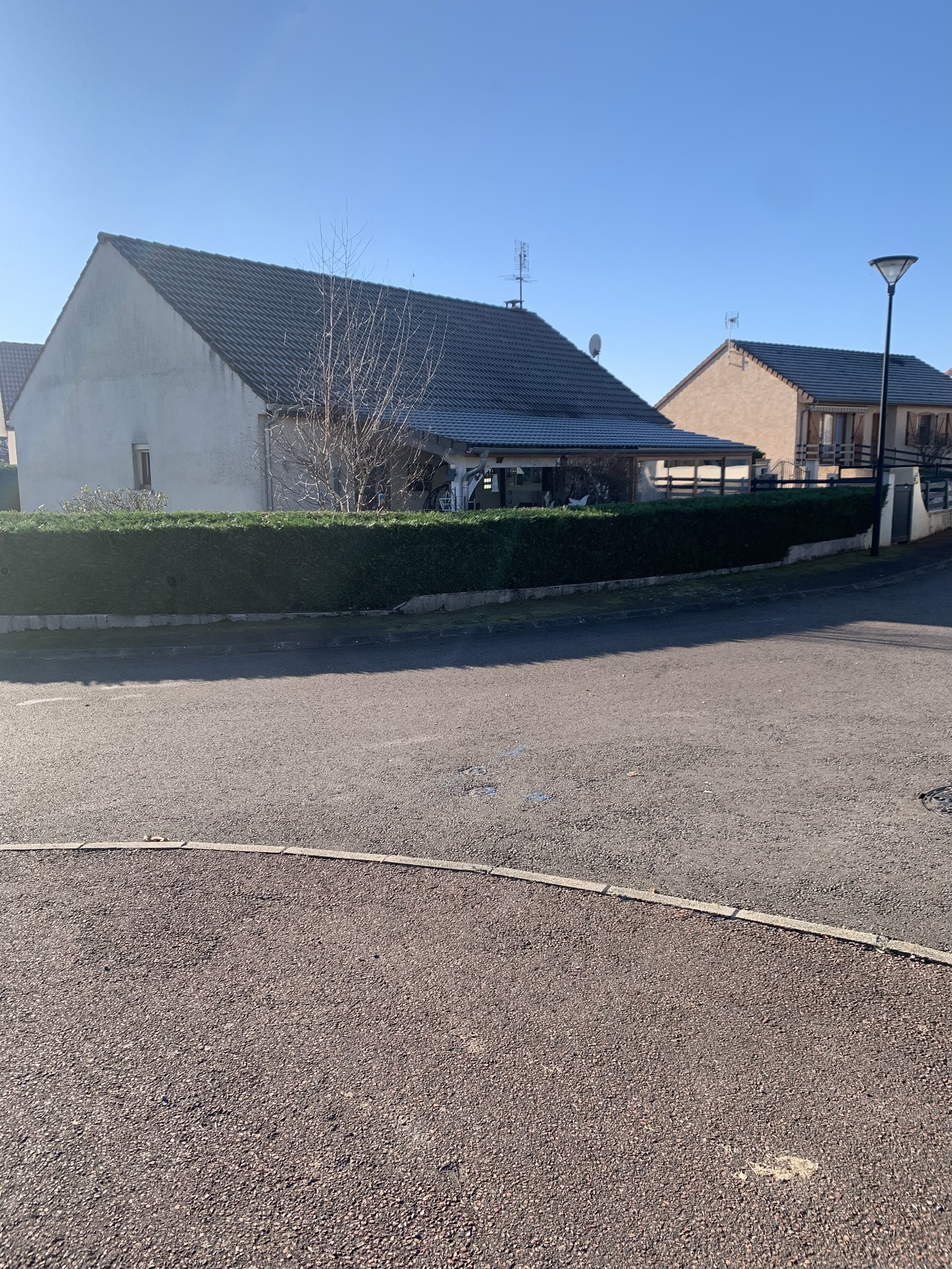 Taille d'une haide de thuyas a Paray le monial 71600