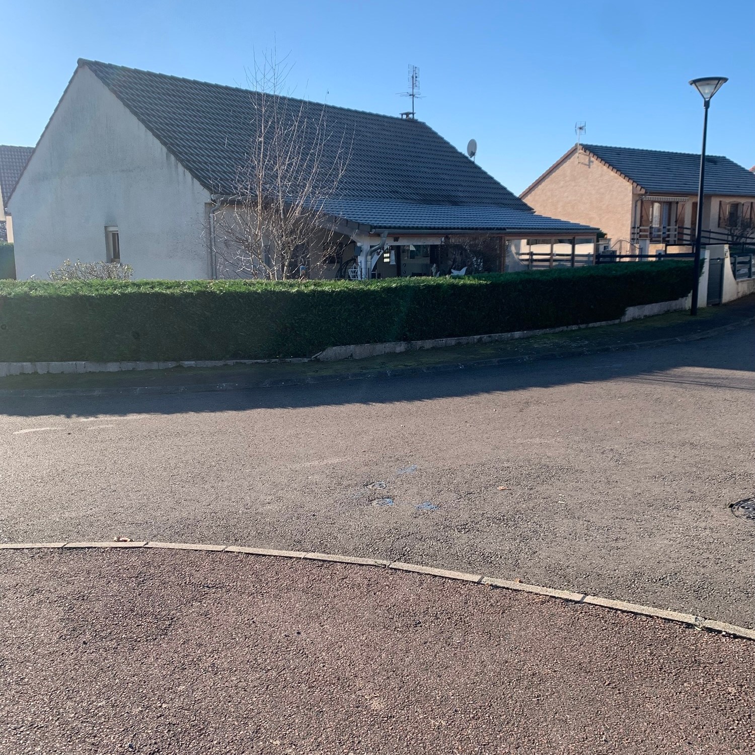 Taille d'une haide de thuyas a Paray le monial 71600