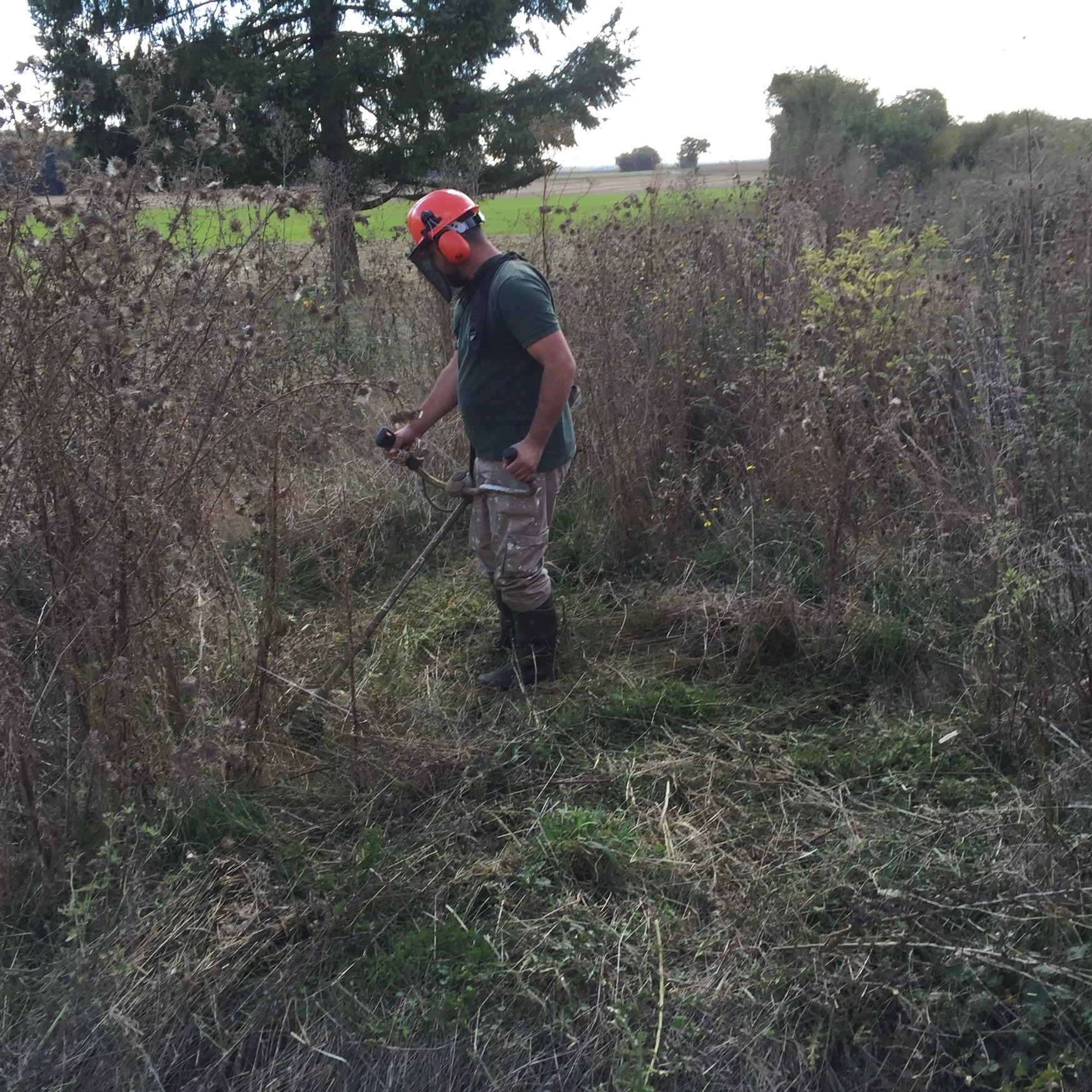 Débroussaillage au rotofil d'un terrain