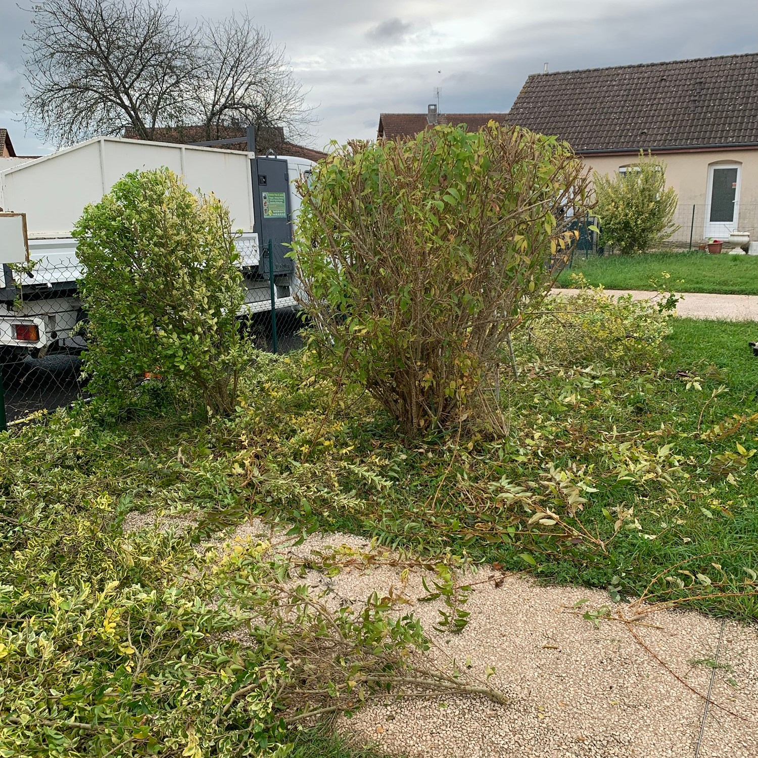 Élagage de Plusieurs Arbuste a Molinet