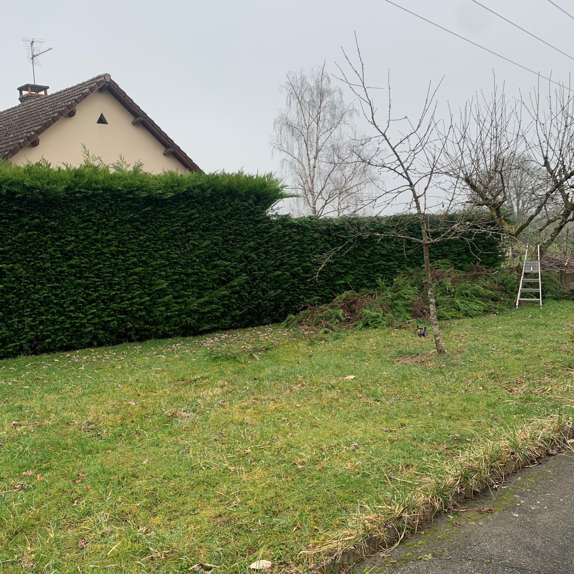 Pendant Rabattage d'une Haie à Gueugnon