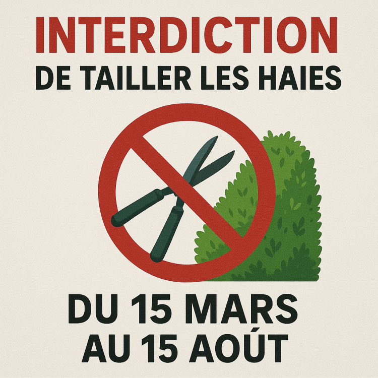 peut-on tailler sa haie entre mars et aout